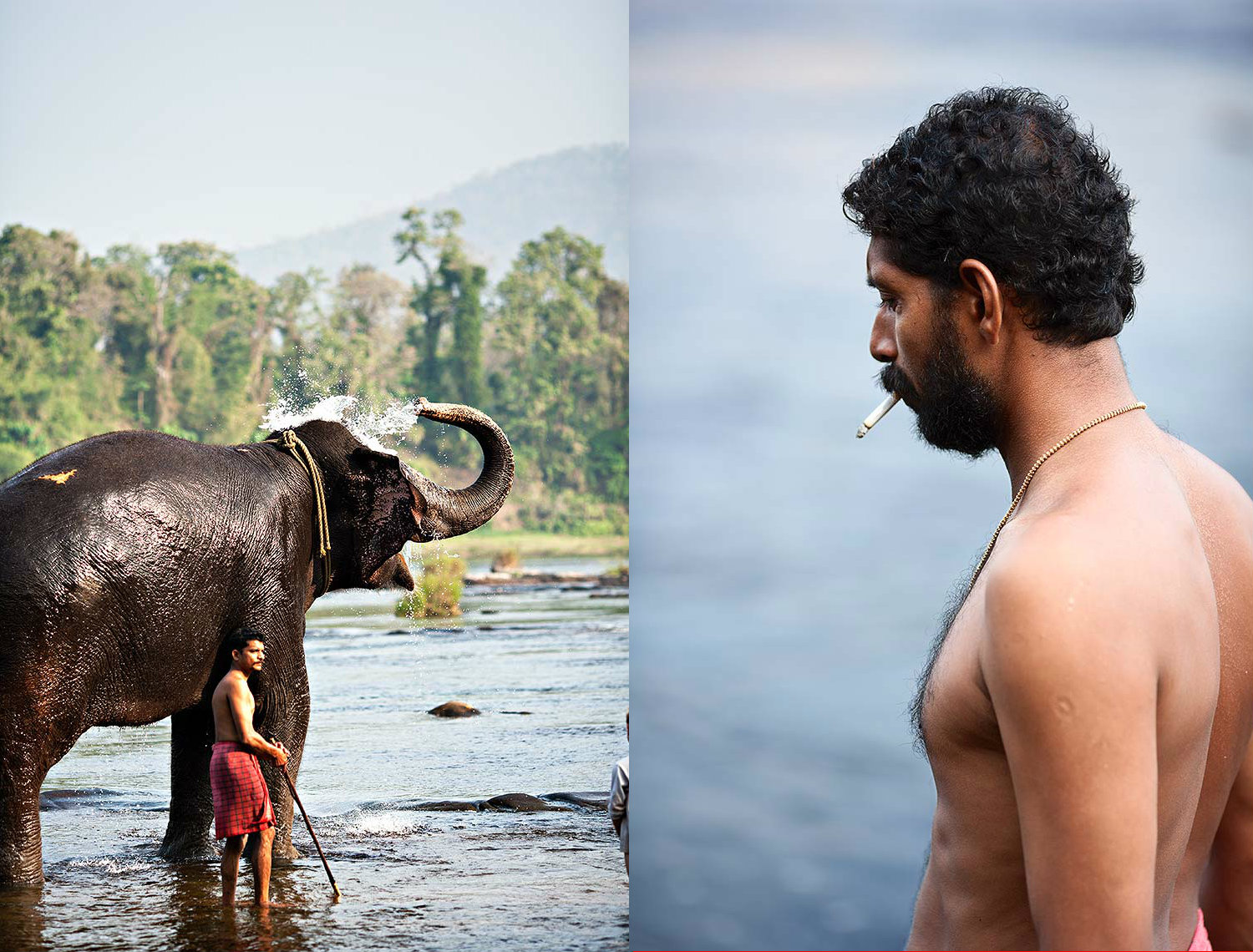 022-cochin_elephant1